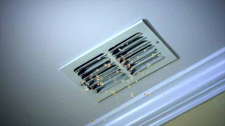 Best Local Air Duct Cleaning Services  in Dresden, TN