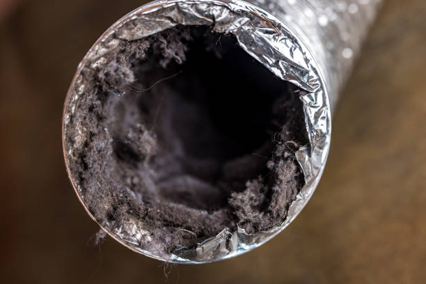  Dresden, TN Airduct Cleaning Pros