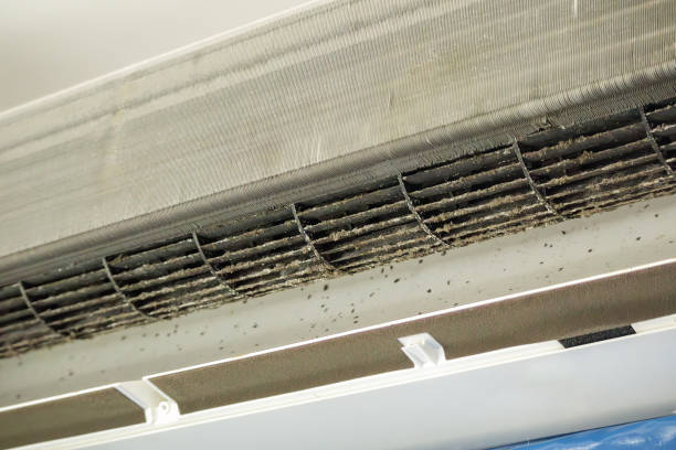 Best Air Duct Cleaning Near Me  in Dresden, TN